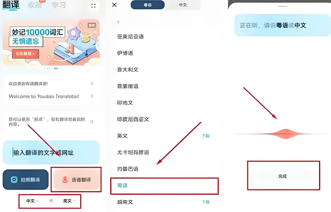 有道翻译语音翻译粤语